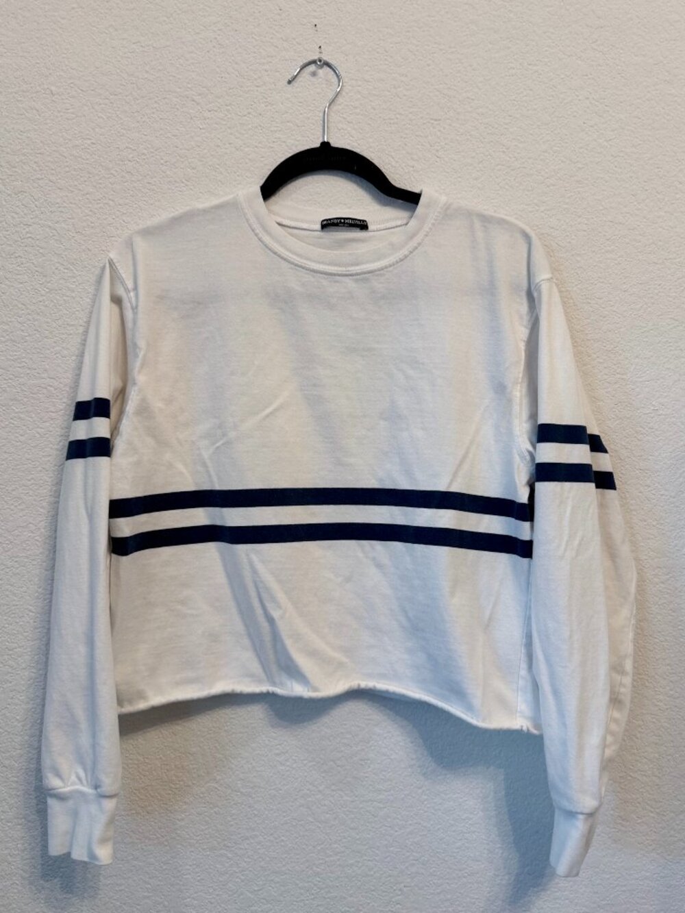 Brandy Melville White & Blue Striped Long Sleeve Crop Top (OneSize)
